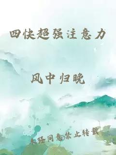 四快超强注意力