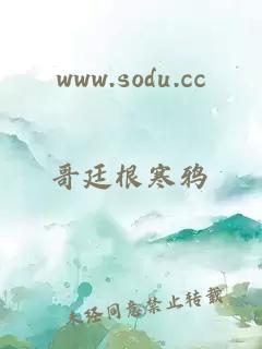 www.sodu.cc
