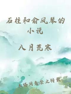 石柱和俞凤琴的小说