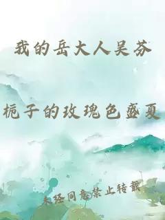 我的岳大人吴芬