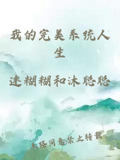 我的完美系统人生