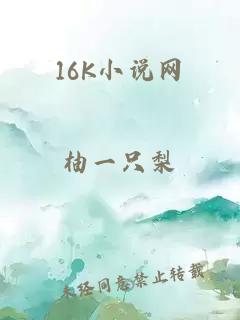 16K小说网